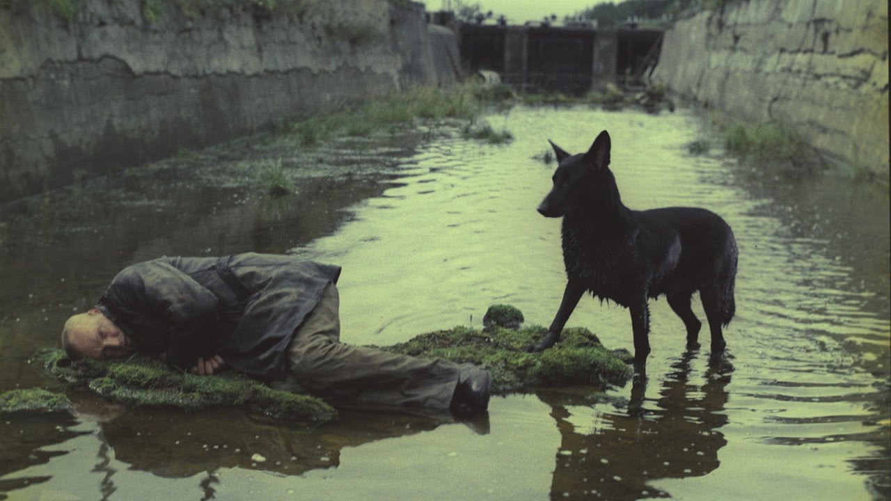 The Stalker, Andrei Tarkovsky, 1979