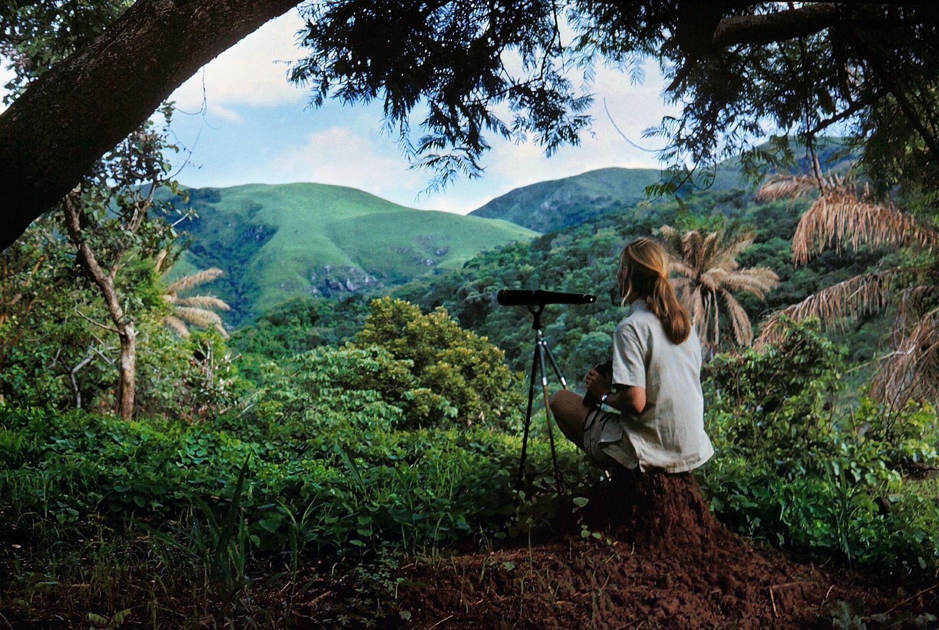 Jane Goodall, Self Portrait, The Nature of Hope, Fotoğraf: Vital Impacts