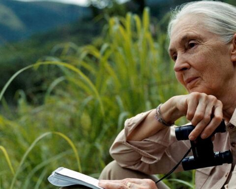 Dr. Jane Goodall Tanzanya'daki Gombe Stream Ulusal Parkı'nda, Fotoğraf: Bjarnhoff / Gant