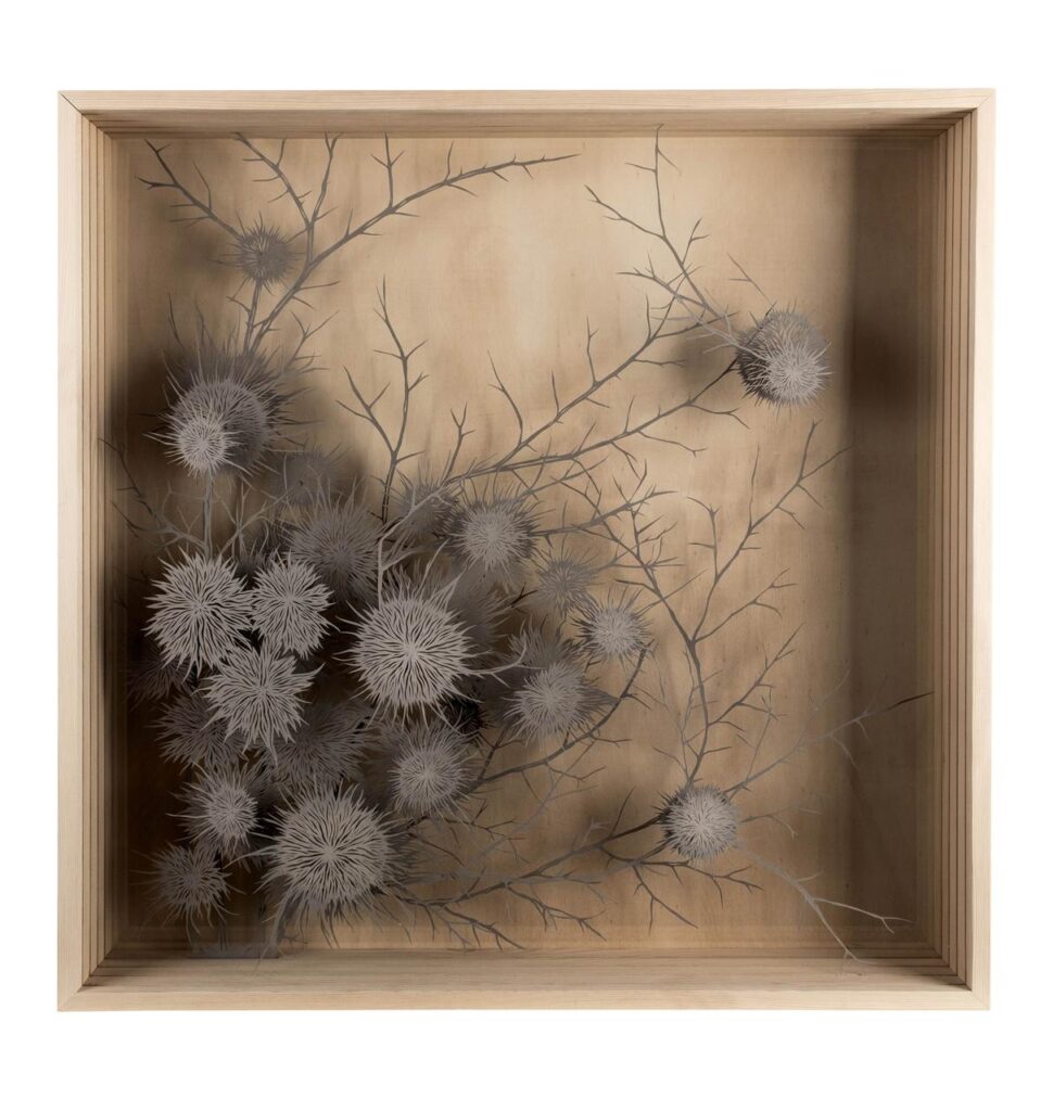 Doğa ve Kent Belleğine Dair: “Diken Üzerine Egzersizler”