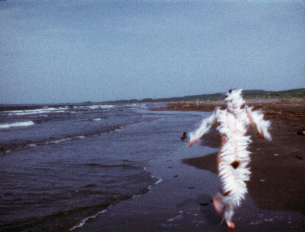 Ana Mendieta: Doğaya Yazılan Bir Beden