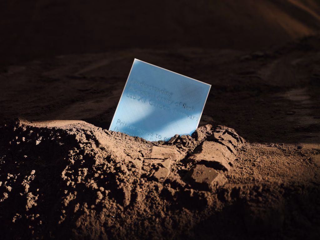 Toprağın Altında 80 Sanat Eseri