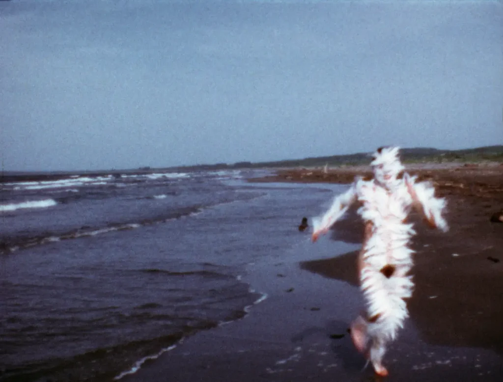 Dönüşen Ruh Üzerine: Ana Mendieta